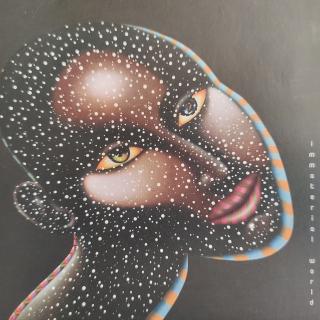 CD Digipak - Nadja Zela – Immaterial World