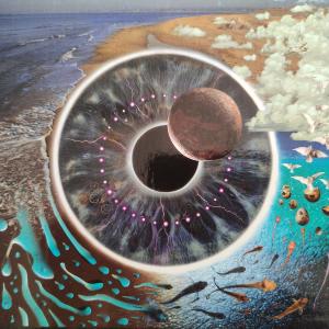 2xCD-Box-Set - Pink Floyd – Pulse - LIVE