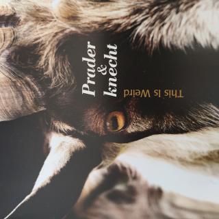CD - Prader & knecht – This Is Weird