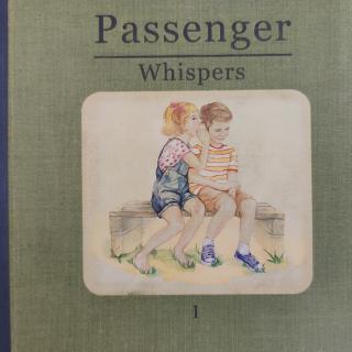 CD - Passenger - Whispers - in Topzustand
