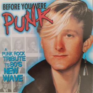 CD -  Before You Were Punk - frühe Sounds der Subkultur