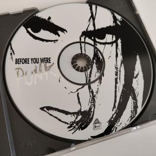 CD -  Before You Were Punk - frühe Sounds der Subkultur