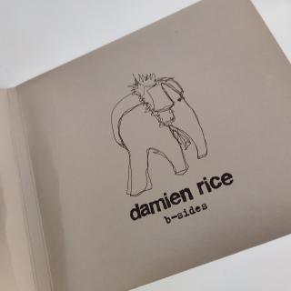 2xCD - Damien Rice – O / B-Sides