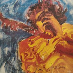 CD - Jimi Hendrix – The Jimi Hendrix Concerts - Topzustand