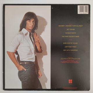 Steve Walsh – Schemer Dreamer LP | Vinyl NM | Top Zustand