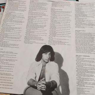 Steve Walsh – Schemer Dreamer LP | Vinyl NM | Top Zustand