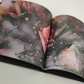 Ljiljana Buttler – Frozen Roses CD in schönem Booklet