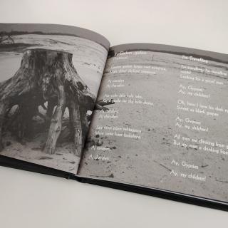 Ljiljana Buttler – Frozen Roses CD in schönem Booklet