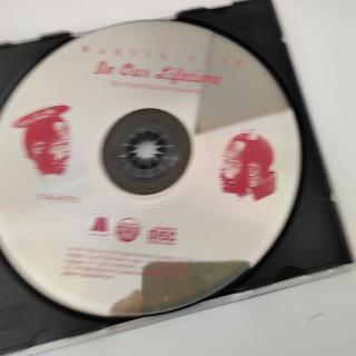 Marvin Gaye In Our Lifetime | The Final Motown Sessions | CD