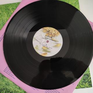 Bipolar Feminin – Ein fragiles System | LP