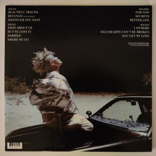 P!nk – Beautiful Trauma auf Vinyl | 2xLP - Vinyl