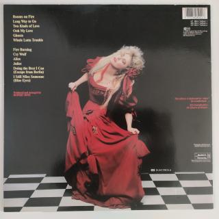 Stevie Nicks – The Other Side Of The Mirror | LP - Vinyl
