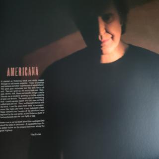 Ray Davies – Americana: Britische Legende auf Reisen | 2xLP