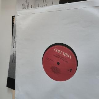 Chris Whitley – Living With The Law auf Vinyl | LP
