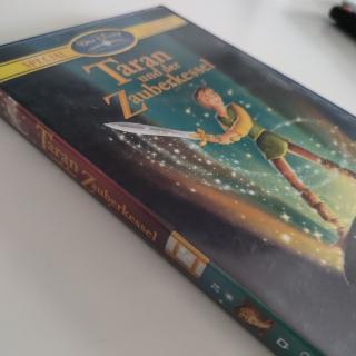 Taran und der Zauberkessel – Disneys dunkler Kultfilm | DVD