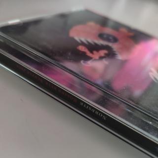 Nordsite – Rösser Ryte, Büffle Jage | Mundart-CD - selten