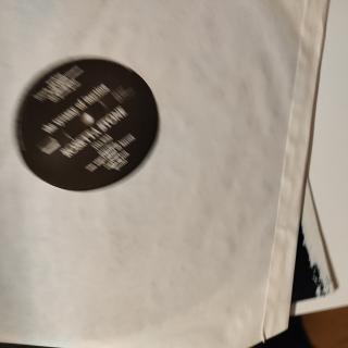 Rosetta Stone – The Tyranny Of Inaction | Vinyl-LP