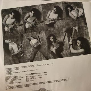 Ted Nugent – If You Can't Lick 'Em... Lick 'Em | LP (1988)