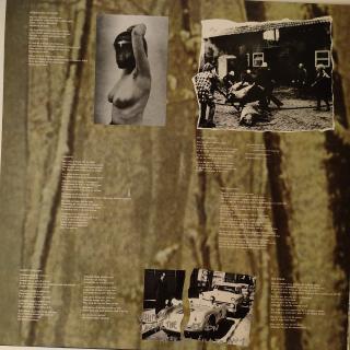 Suede – Dog Man Star | 2LP Britpop-Meisterwerk