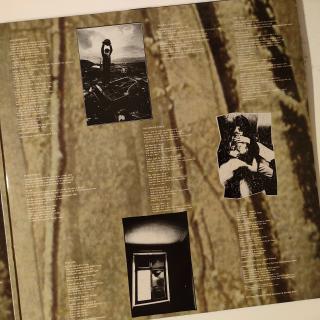 Suede – Dog Man Star | 2LP Britpop-Meisterwerk