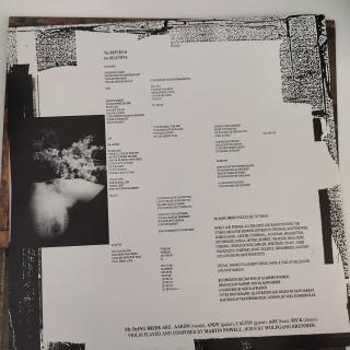 My Dying Bride – As The Flower Withers: Doom-Meilenstein, LP