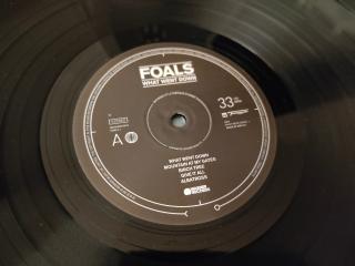 Foals – What Went Down: Indie Rock mit voller Wucht | LP