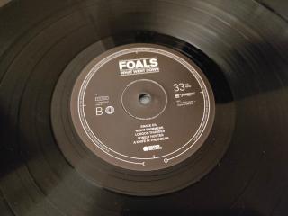Foals – What Went Down: Indie Rock mit voller Wucht | LP