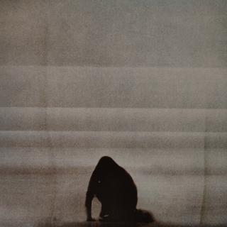Foals – What Went Down: Indie Rock mit voller Wucht | LP