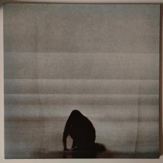 Foals – What Went Down: Indie Rock mit voller Wucht | LP