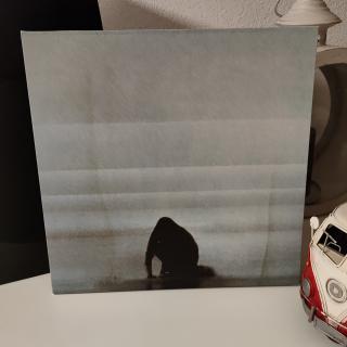 Foals – What Went Down: Indie Rock mit voller Wucht | LP