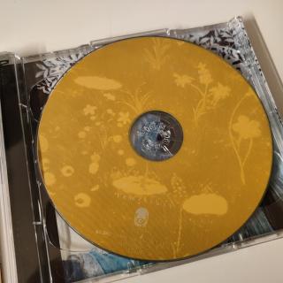 The Church – Parallel Universe: Klangwelten neu gedacht, 2CD