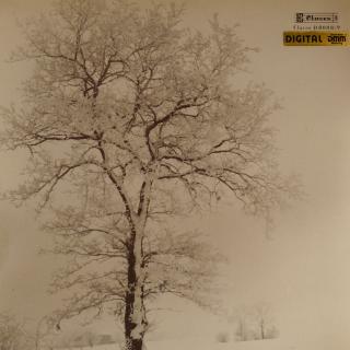 Schubert – Winterreise: preisgekrönte CH-er Aufnahme | 2xLP