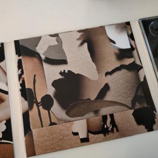 Jenny Hval – Viscera (2011) – Experimental Art Pop CD