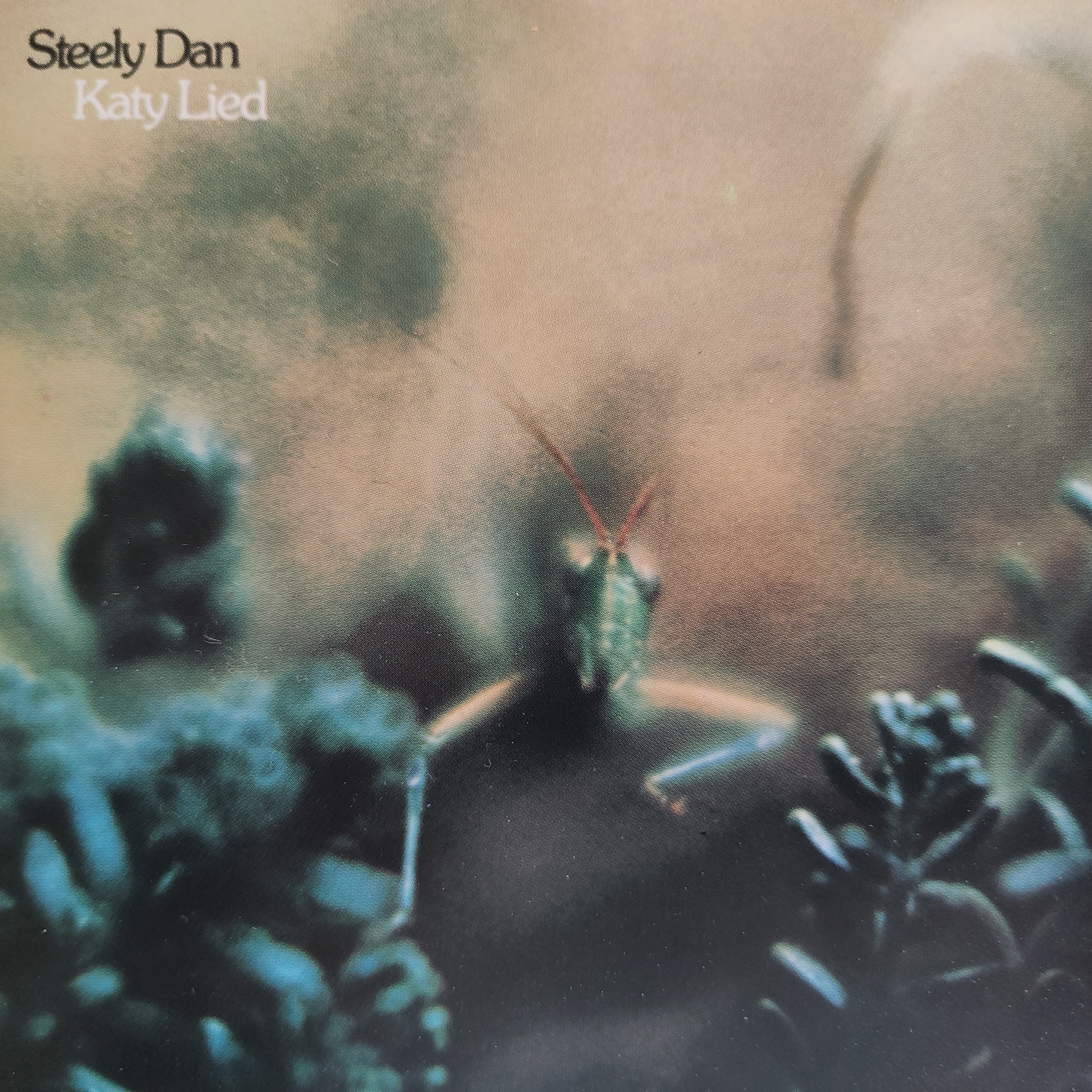 Steely Dan – Katy Lied | Jazz-Rock-Klassiker auf CD