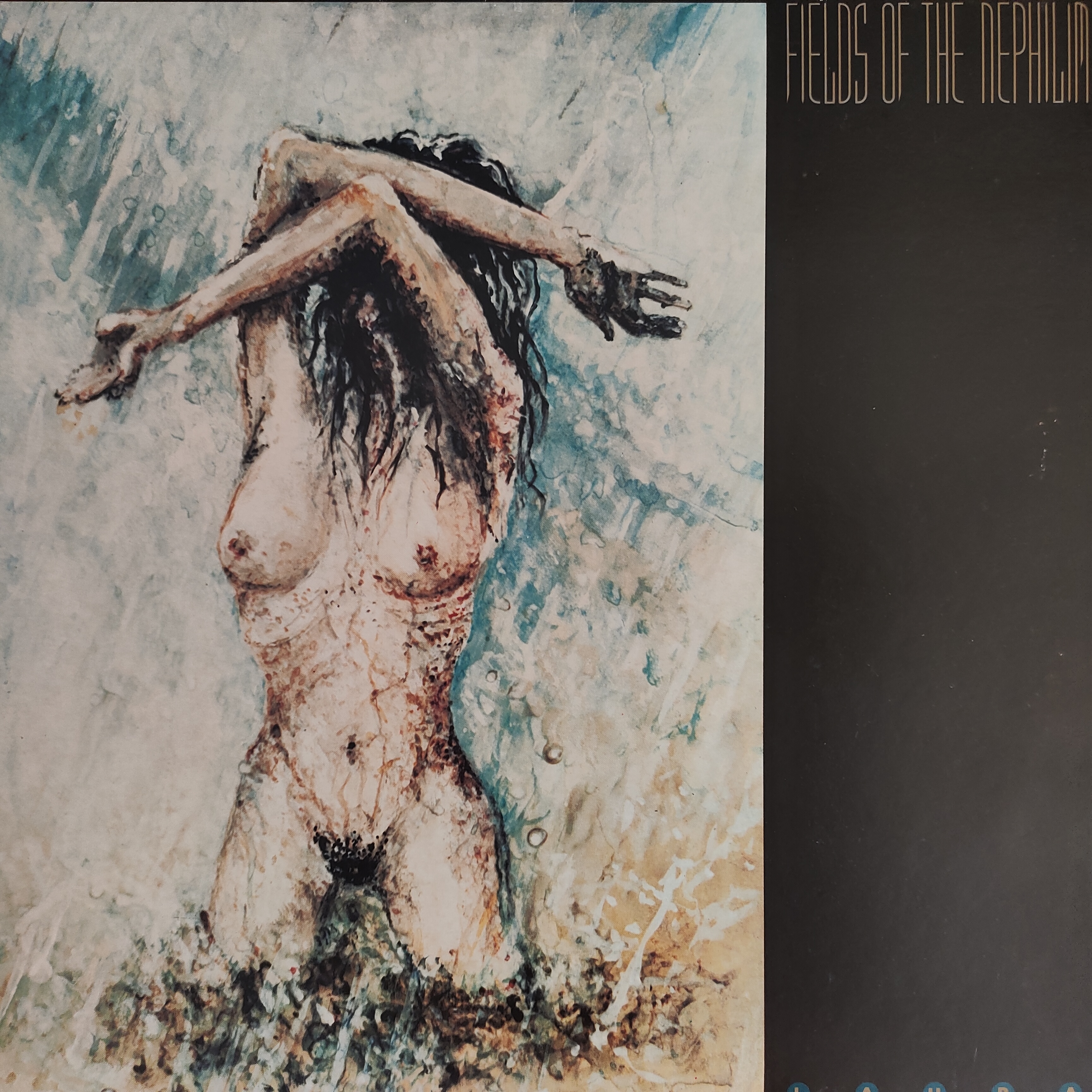 Fields Of The Nephilim – Laura | Limited Clear Vinyl LP