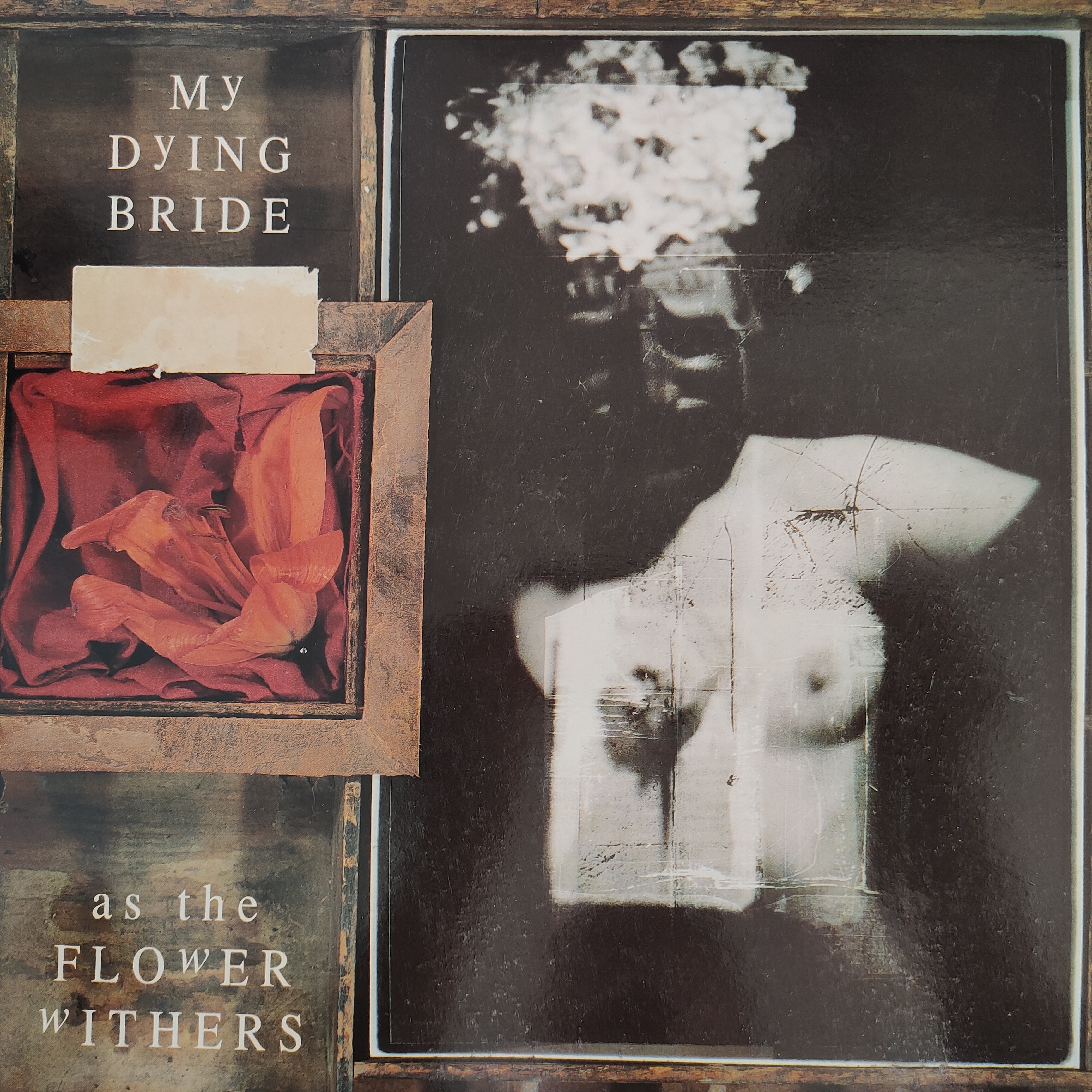My Dying Bride – As The Flower Withers: Doom-Meilenstein, LP