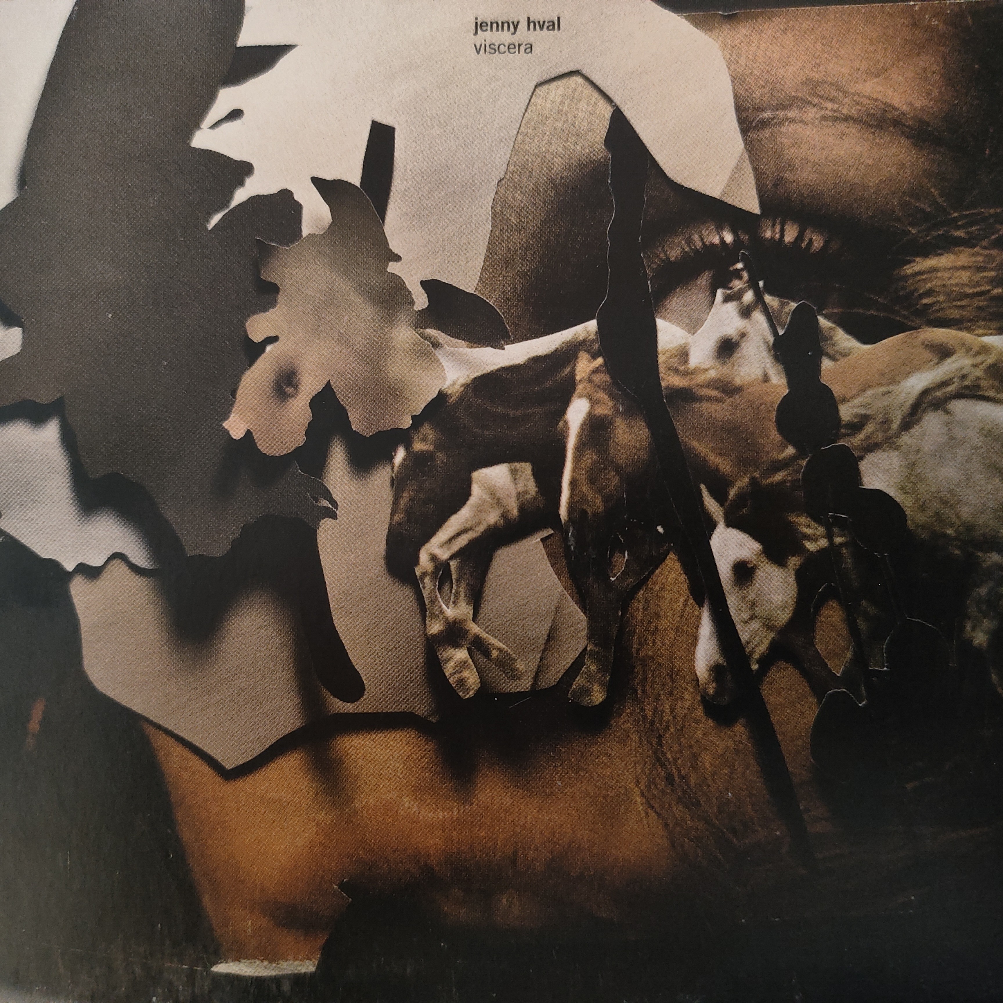 Jenny Hval – Viscera (2011) – Experimental Art Pop CD